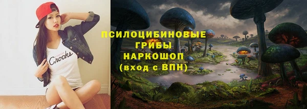 соль ск Верхний Тагил