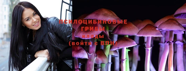 ПСИЛОЦИБИНОВЫЕ ГРИБЫ Верея