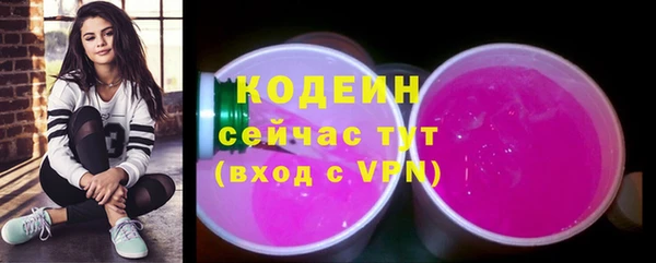 соль ск Верхний Тагил