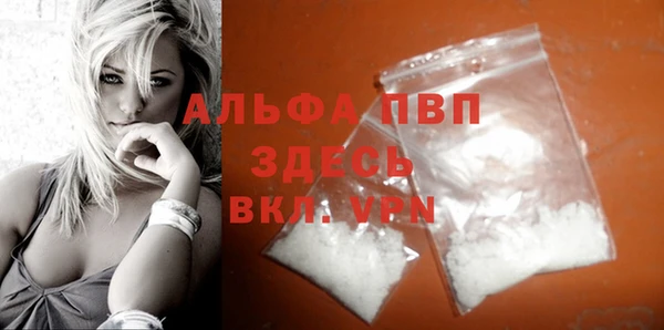 стафф Козловка