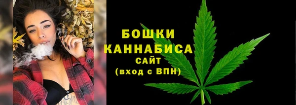 ПСИЛОЦИБИНОВЫЕ ГРИБЫ Верея