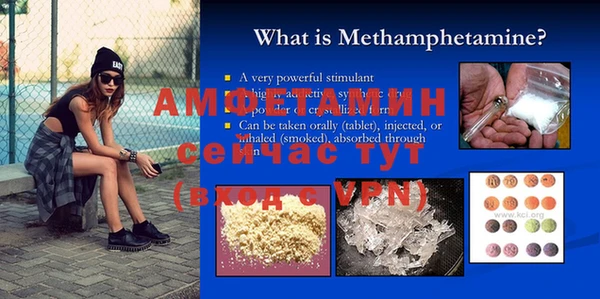 ПСИЛОЦИБИНОВЫЕ ГРИБЫ Верея