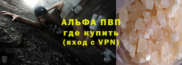 ПСИЛОЦИБИНОВЫЕ ГРИБЫ Верея